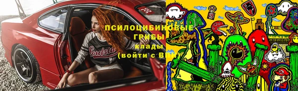 МДПВ Армянск