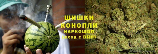 ГАЛЛЮЦИНОГЕННЫЕ ГРИБЫ Аркадак