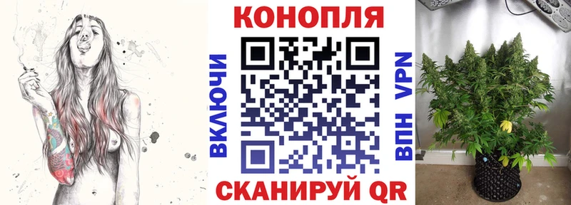 Бошки Шишки индика наркотики Александровск